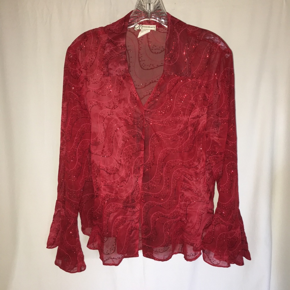 Glittery Dress Barn Blouse Boho Size Large A